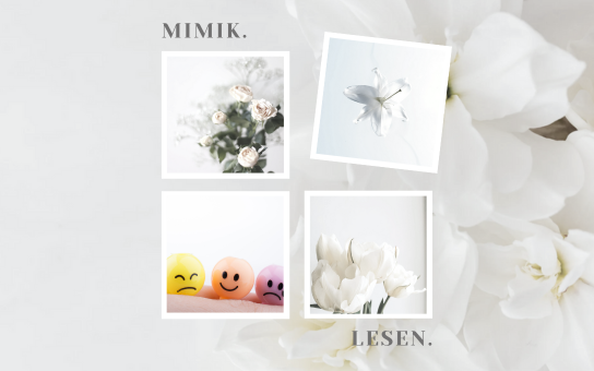 Mimik & Emotionen lesen